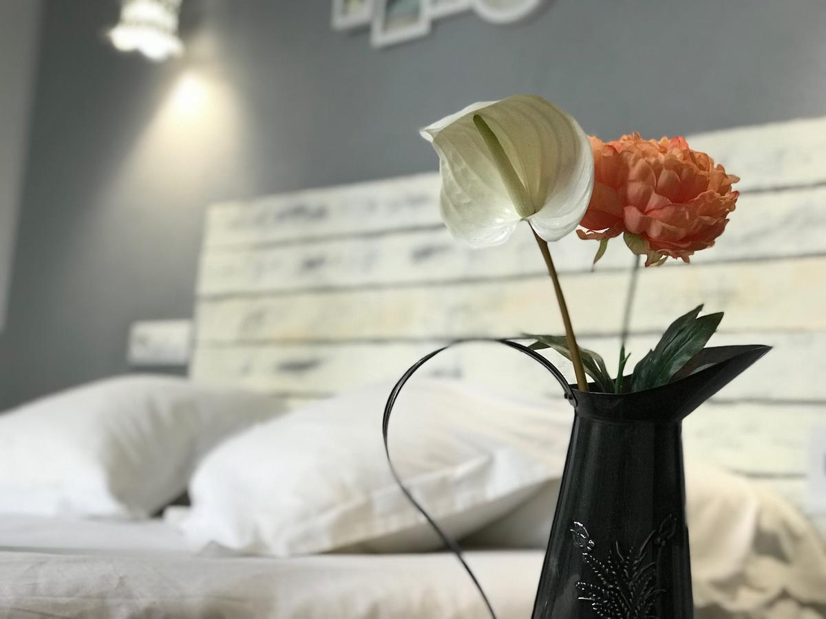 โอเอซิส แบ็กแพกเกอร์ โตเลโด Hostel ภายนอก รูปภาพ